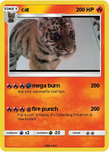Pokemon cat