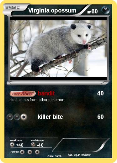 Pokemon Virginia opossum