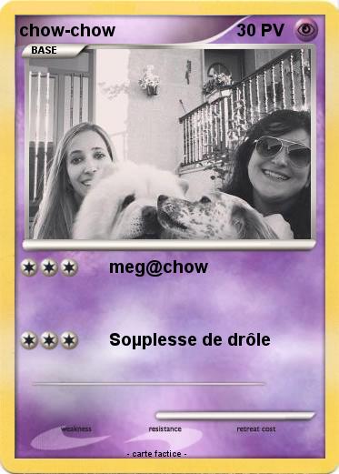 Pokemon chow-chow