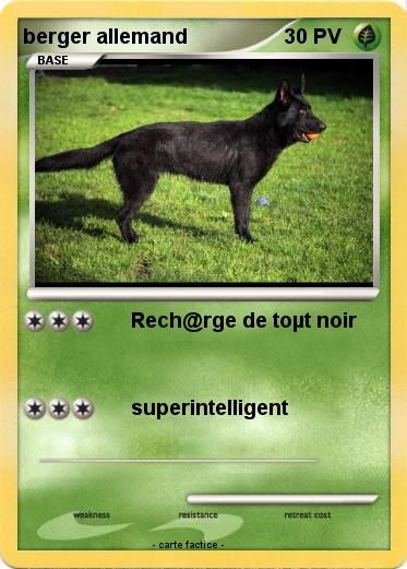 Pokemon berger allemand