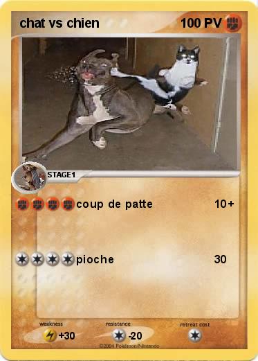 Pokemon chat vs chien
