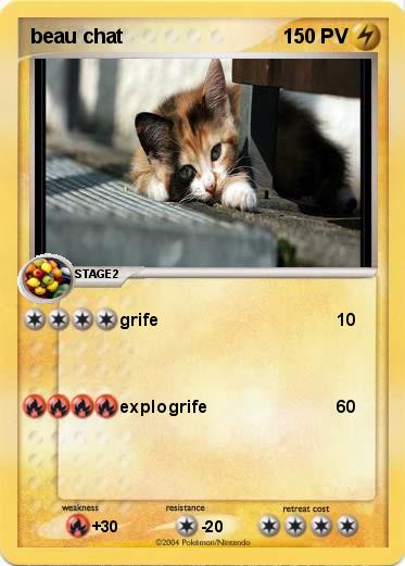 Pokemon beau chat