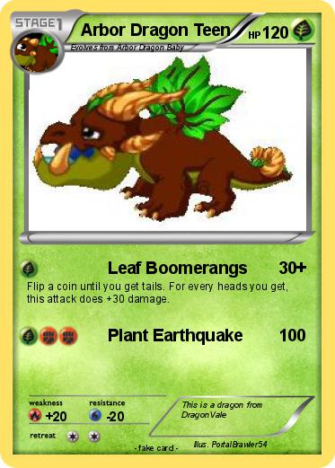 Pokemon Arbor Dragon Teen