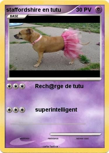 Pokemon staffordshire en tutu