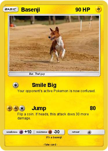 Pokemon Basenji