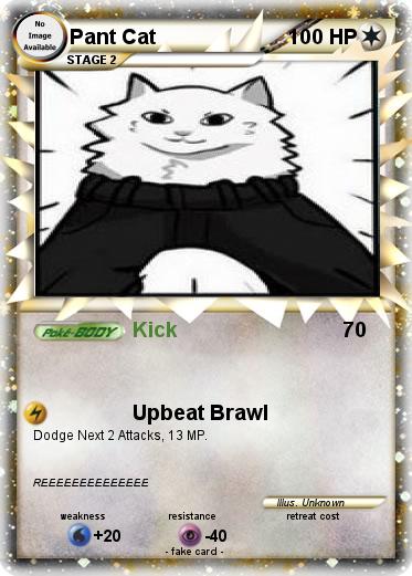 Pokemon Pant Cat