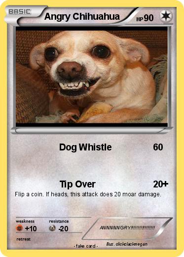 Pokemon Angry Chihuahua