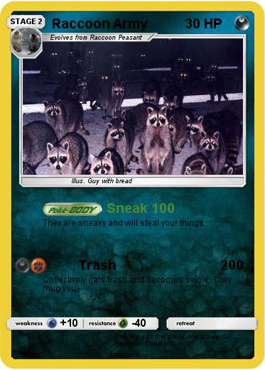 Pokemon Raccoon Army