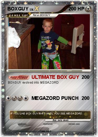 Pokemon BOXGUY