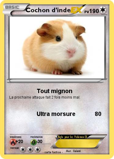 Pokemon Cochon d'inde