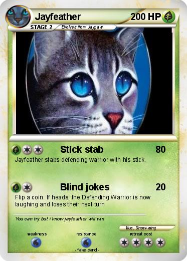 Pokemon Jayfeather