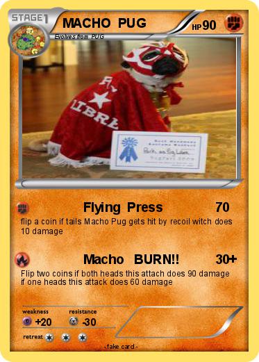 Pokemon MACHO  PUG