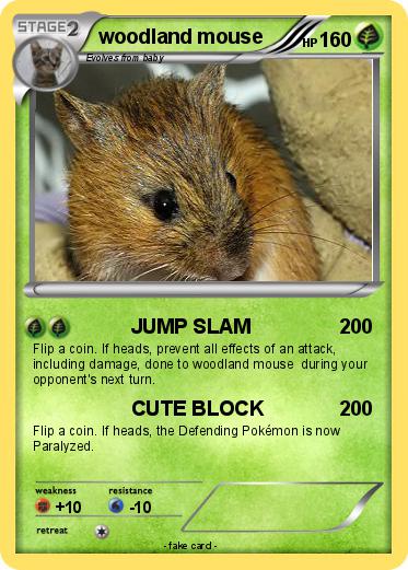 Pokemon woodland mouse
