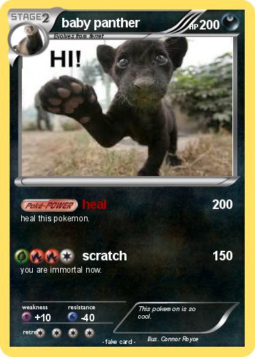Pokemon baby panther