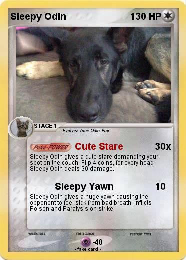 Pokemon Sleepy Odin