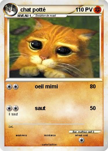 Pokemon chat potté