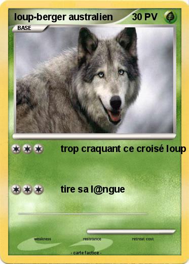 Pokemon loup-berger australien
