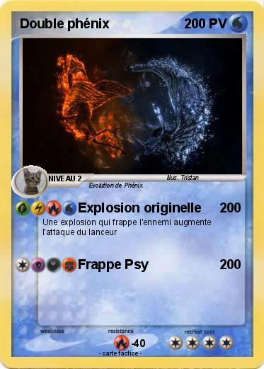 Pokemon Double phénix
