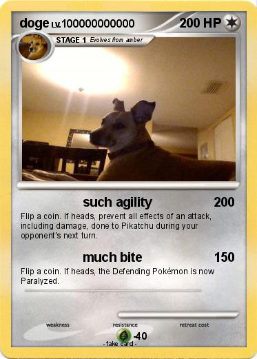 Pokemon doge
