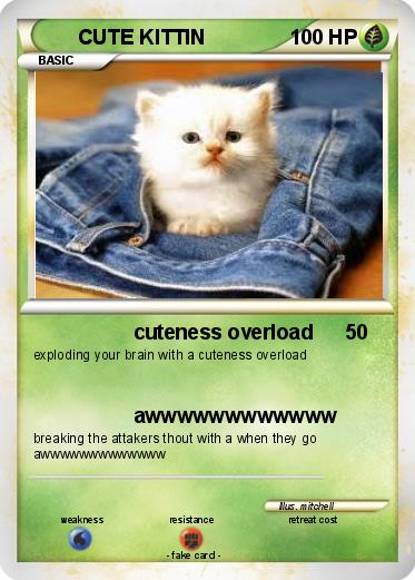 Pokemon CUTE KITTIN