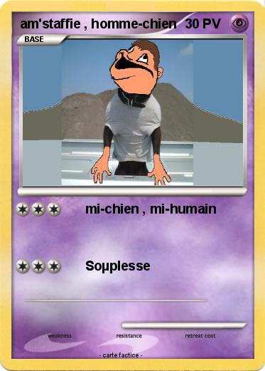 Pokemon am'staffie , homme-chien
