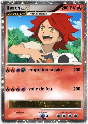Pokemon thorch