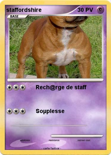 Pokemon staffordshire