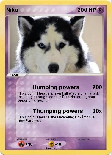 Pokemon Niko