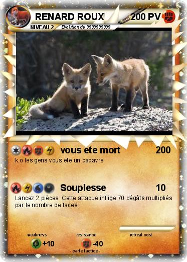 Pokemon RENARD ROUX