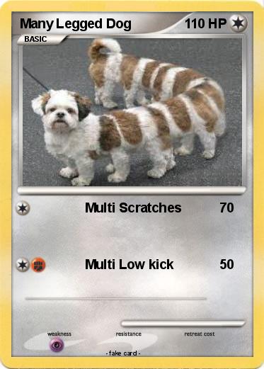 Pokemon Many Legged Dog