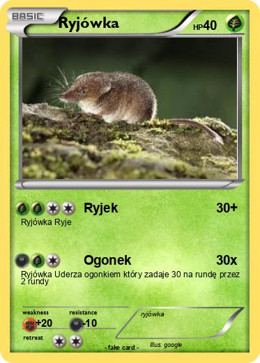 Pokemon Ryjówka