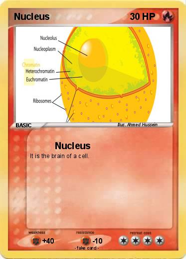 Pokemon Nucleus