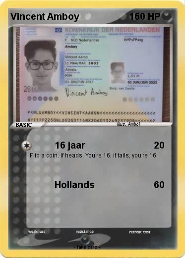 Pokemon Vincent Amboy