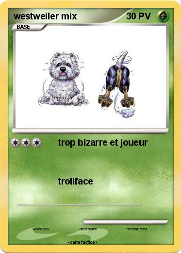 Pokemon westweiler mix