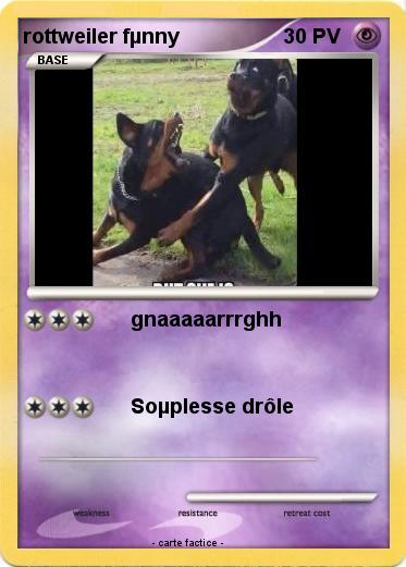Pokemon rottweiler fµnny