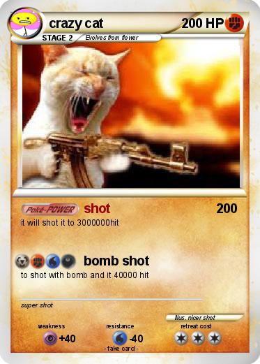 Pokemon crazy cat