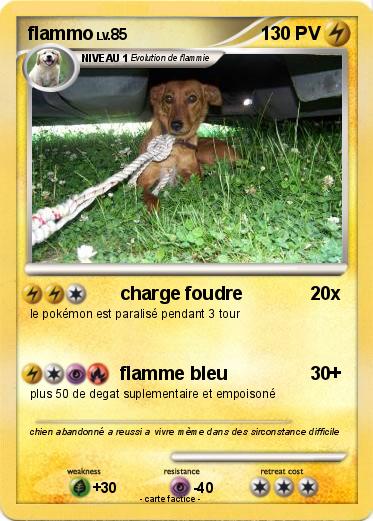 Pokemon flammo