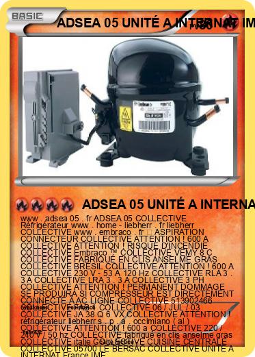 Pokemon ADSEA 05 UNITÉ A INTERNAT IME