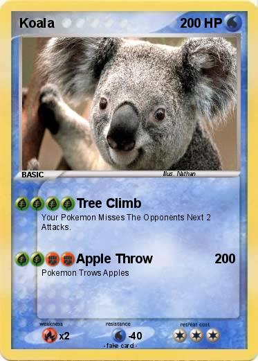 Pokemon Koala