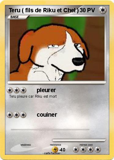 Pokemon Teru ( fils de Riku et Chel )