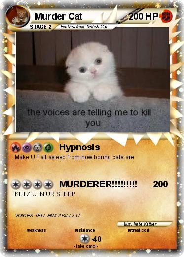 Pokemon Murder Cat