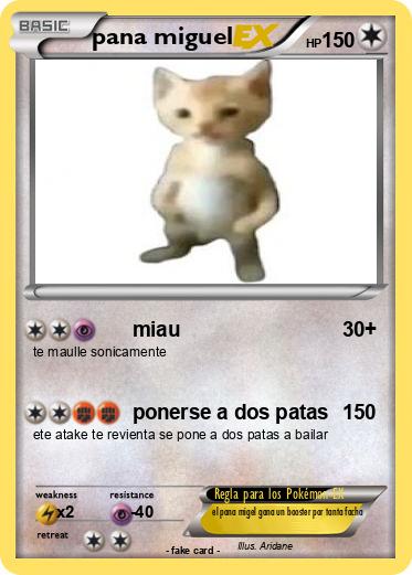 Pokemon pana miguel