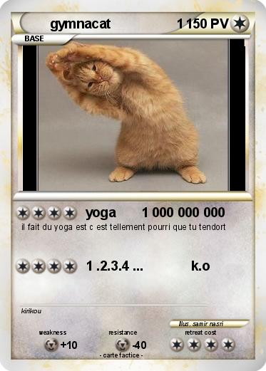 Pokemon gymnacat                  1