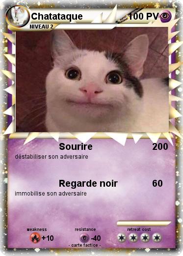 Pokemon Chatataque