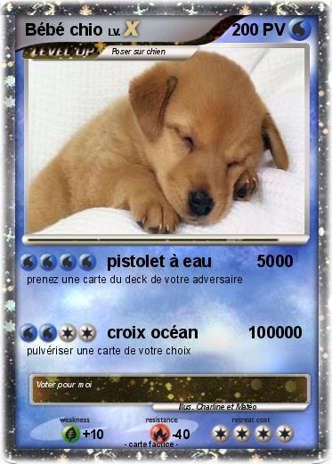 Pokemon Bébé chio