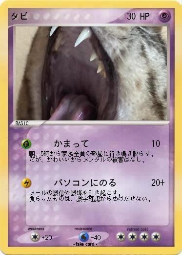 Pokemon タピ
