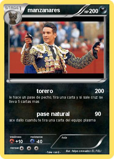 Pokemon manzanares