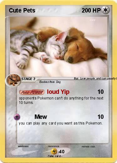 Pokemon Cute Pets