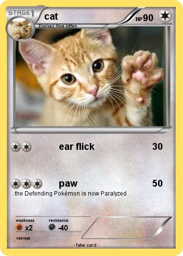 Pokemon cat