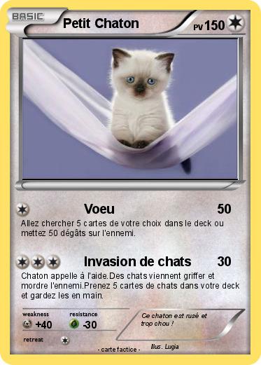 Pokemon Petit Chaton